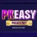 PK Easy Game
